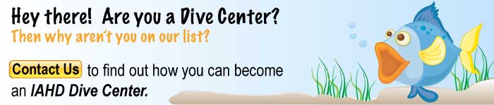 dive center contact us