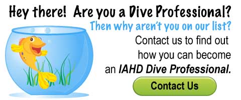dive pro yet?
